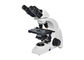 6V 20W 실험실 생물학 현미경 40-1000X 확대 백색 검정 협력 업체
