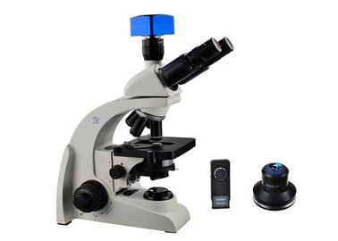 중국 Trinocular 암시야 가벼운 현미경 600x 확대 어두운 지상 현미경 검사법 협력 업체