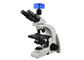 Trinocular 실험실 생물학 현미경/실험실 광학적인 현미경 협력 업체
