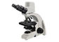 1000X 디지털 방식으로 광학적인 현미경 5MP 디지탈 카메라 디지털 방식으로 생물학 현미경 협력 업체