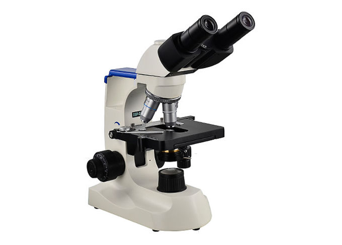 초등 학교를 위한 100X 쌍안경 실험실 생물학 현미경