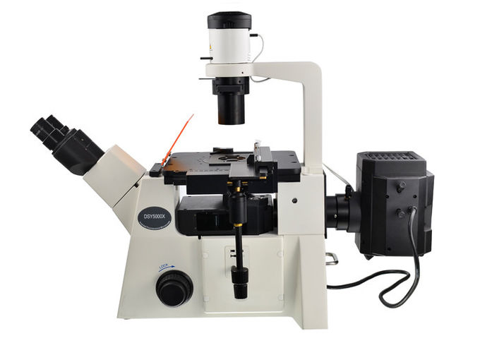 DSY5000X에 의하여 거꾸로 하는 광학적인 현미경 B/G/V/UV 여과기 강직한 거꾸로 한 현미경