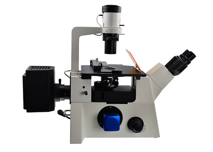 DSY5000X에 의하여 거꾸로 하는 광학적인 현미경 B/G/V/UV 여과기 강직한 거꾸로 한 현미경